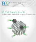 transfection