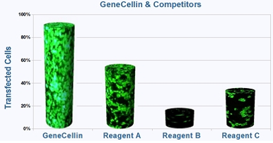 transfection