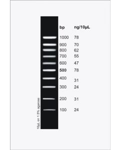 PCR Sizer 100bp DNA Ladder