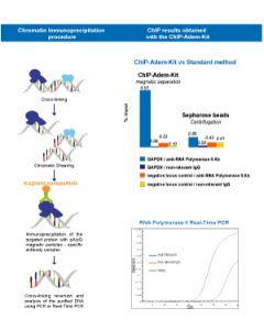 ChIP-Adembeads Protein G + Blocking Buffer for chromatin IP