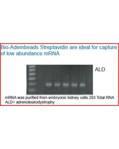 Bio-Adembeads Streptavidin  PLUS 200nm 10ml