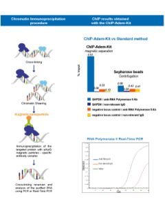 Complete kit (with ChIP-Adembeads Protein A) for chromatin IP