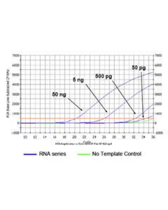 RNA CleanUp and Concentration Kit