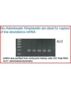 Bio-Adembeads Streptavidin  PLUS 300nm 1ml