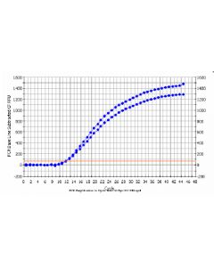 Plant/Fungi RNA Purification Kit