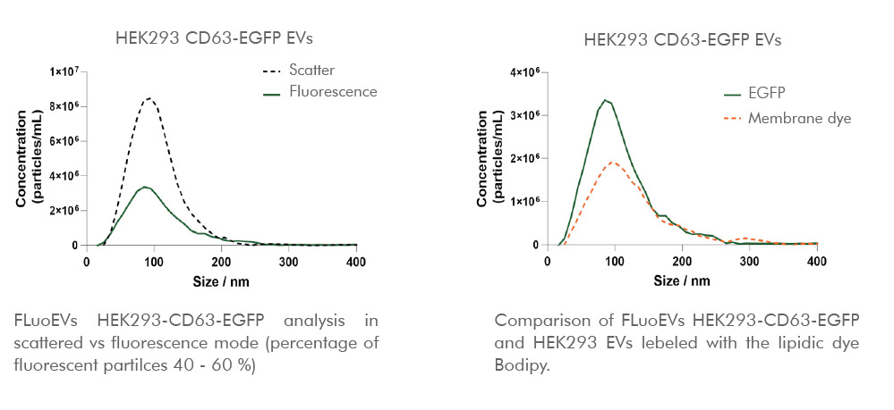fluo-EV analyser data