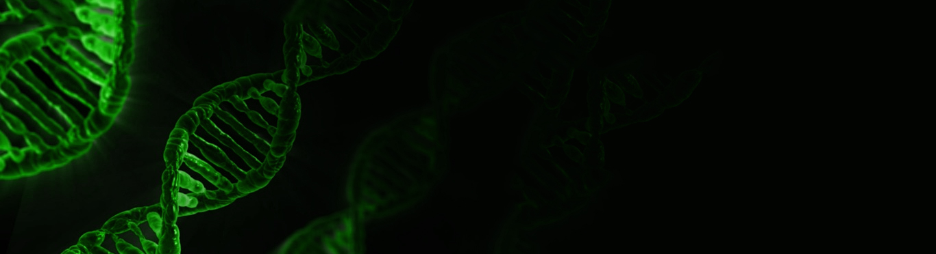 Labomics ORF_cDNA_clones slider